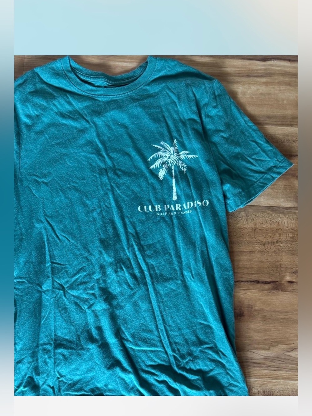 Teal Palm Graphic shirt